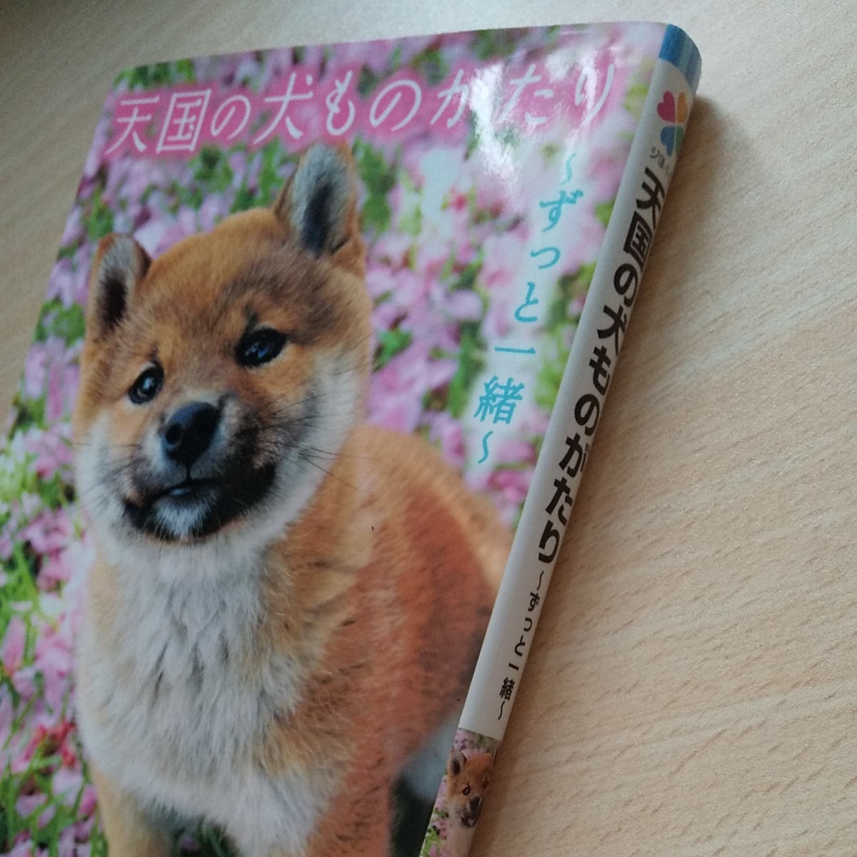 Paypayフリマ 天国の犬物語 天国の犬物語 Paypayフリマ 天国の犬物語 天国の犬物語