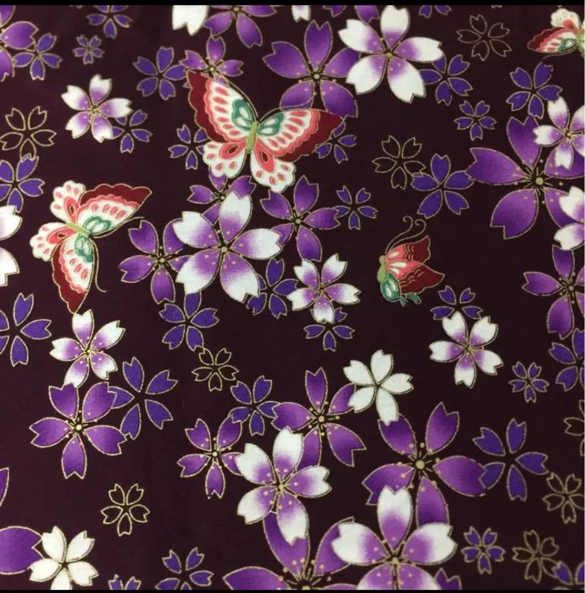 生地 ハギレ 和柄 桜と蝶  50cm 花柄 金糸プリント 紫色