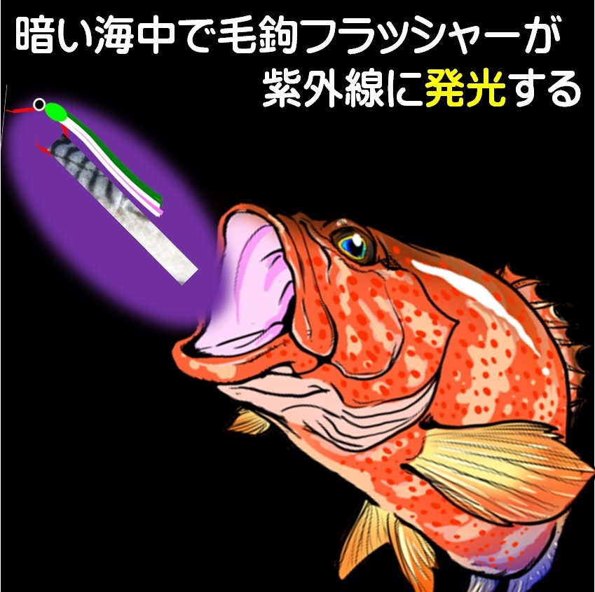 Paypayフリマ オニカサゴ仕掛け 紫外線 ケイムラ 蛍光発光フラッシャー 深緑 紫 光る目玉 ムツ針 赤18号 3本組 根魚仕掛け カサゴ仕掛け 山下漁具店 Paypayフリマ オニカサゴ仕掛け 紫外線 ケイムラ 蛍光発光フラッシャー 深緑 紫 光る目玉 ムツ針 赤18号 3本組 根魚仕掛け カサゴ仕掛け 山下漁具店