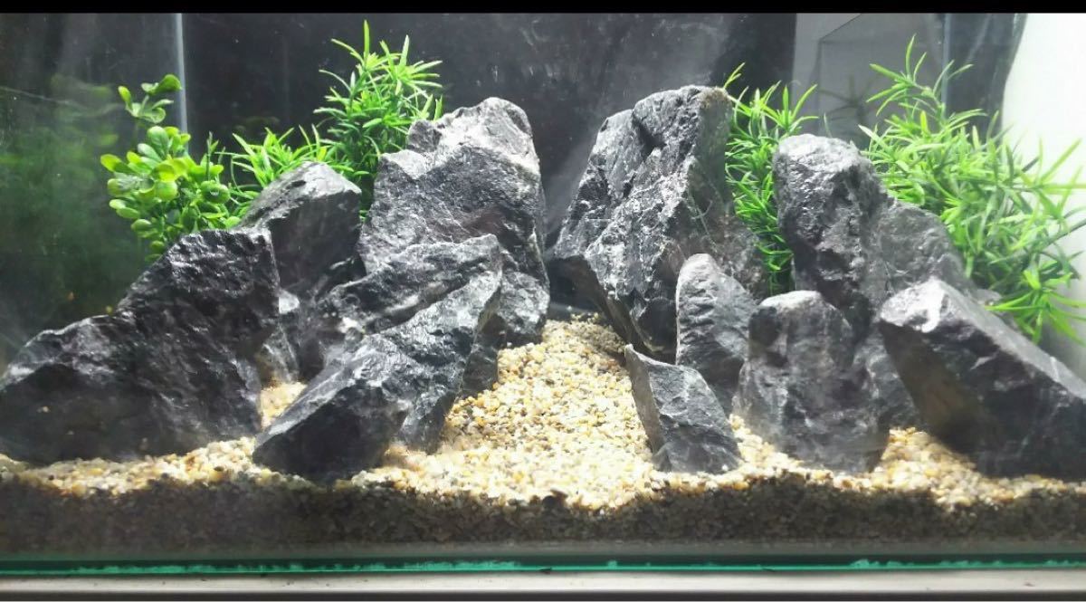 Paypayフリマ 1 新品 清流石15キロセット 水槽 レイアウト アクアリウムに 人気商品 Paypayフリマ 1 新品 清流石15キロセット 水槽 レイアウト アクアリウムに 人気商品