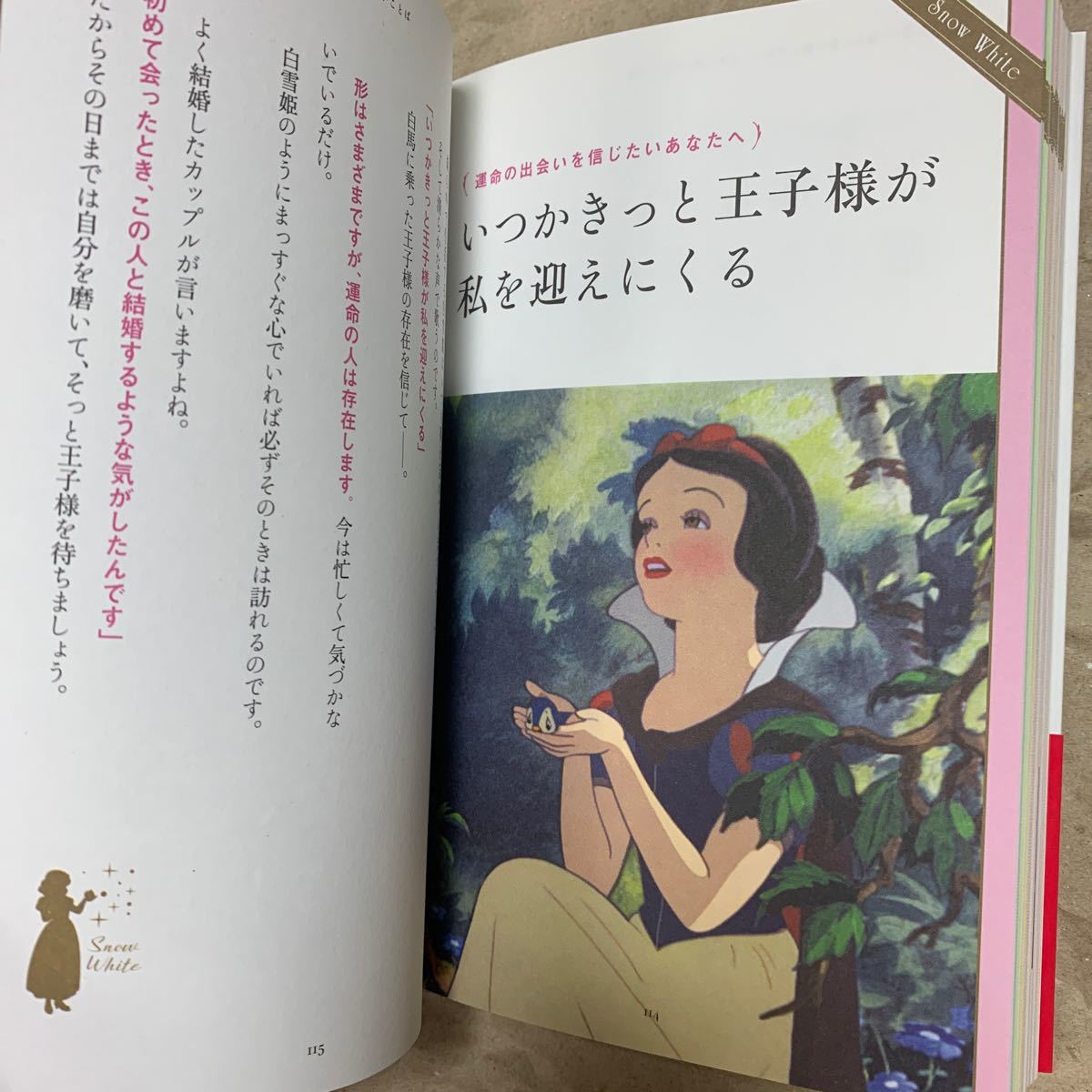 海外の正規 Disney Princess 幸せをつかむことば 0a0767a6 販売元直販 Cfscr Com