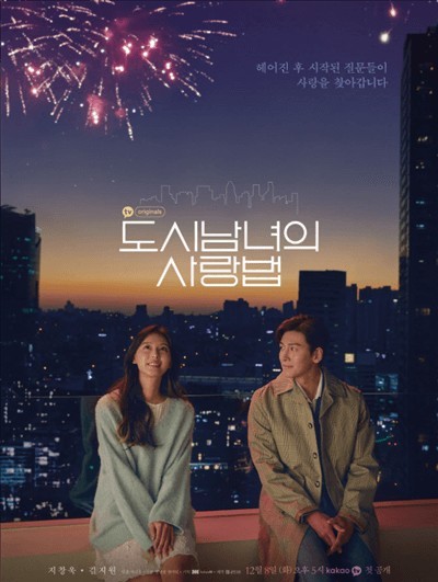 韓国ドラマ　DVD版　◆都会の男女の恋愛法◆