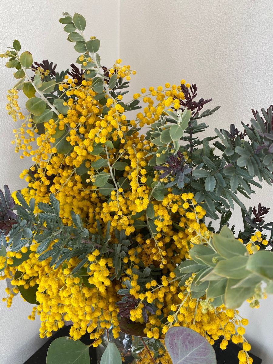 Paypayフリマ ミモザ ドライフラワー 花束 ブーケ ユーカリ Paypayフリマ ミモザ ドライフラワー 花束 ブーケ ユーカリ