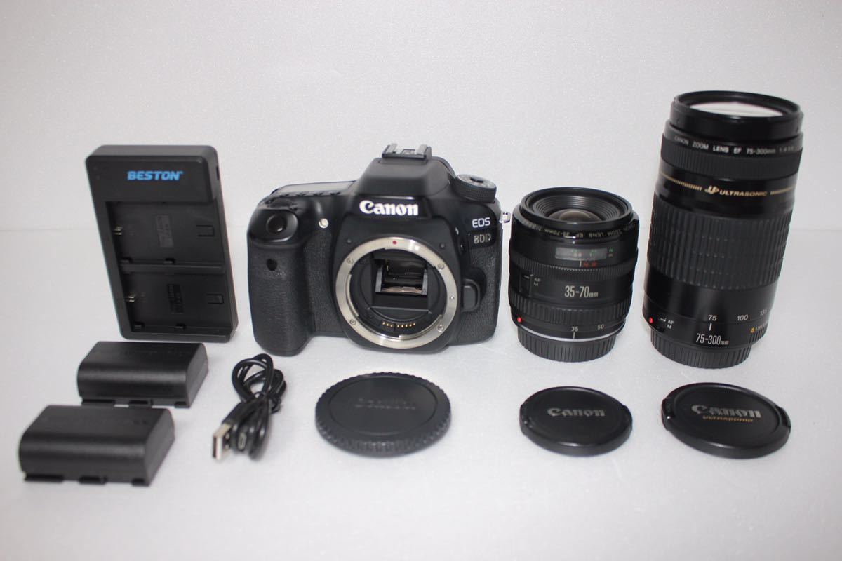 保証付☆キャノン Canon EOS 80D 標準＆望遠ダブルレンズセット-