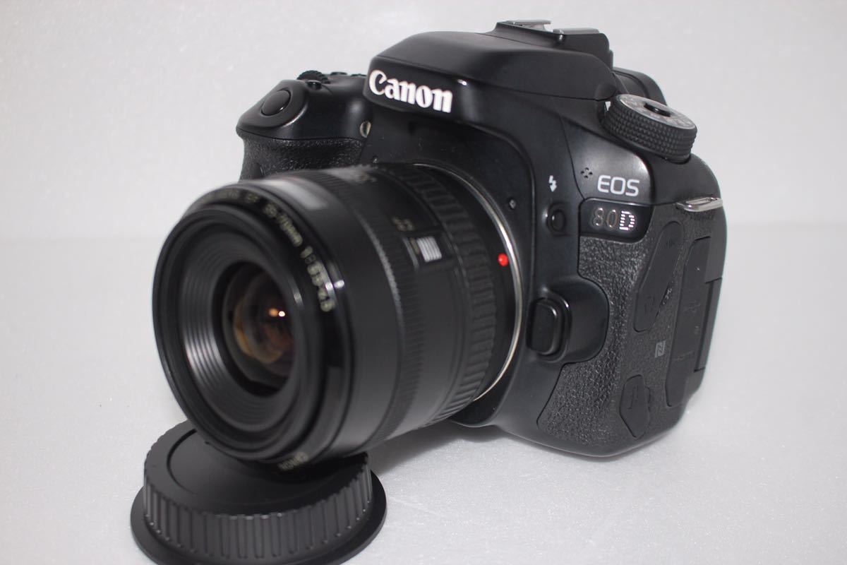 大人気機種 キャノン Canon EOS 80D 標準レンズセット | trentino.edu.pe
