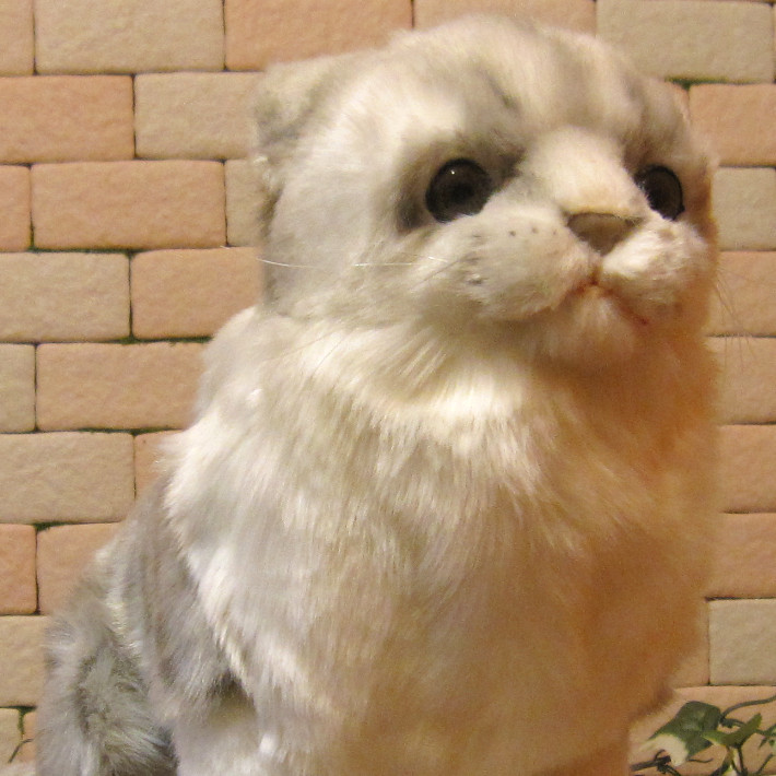 リアルキャット 猫 ぬいぐるみの値段と価格推移は 36件の売買情報を集計したリアルキャット 猫 ぬいぐるみの価格や価値の推移データを公開 リアルキャット 猫 ぬいぐるみの値段と価格推移は 36件の売買情報を集計したリアルキャット 猫 ぬいぐるみの価格や価値の推移データを公開