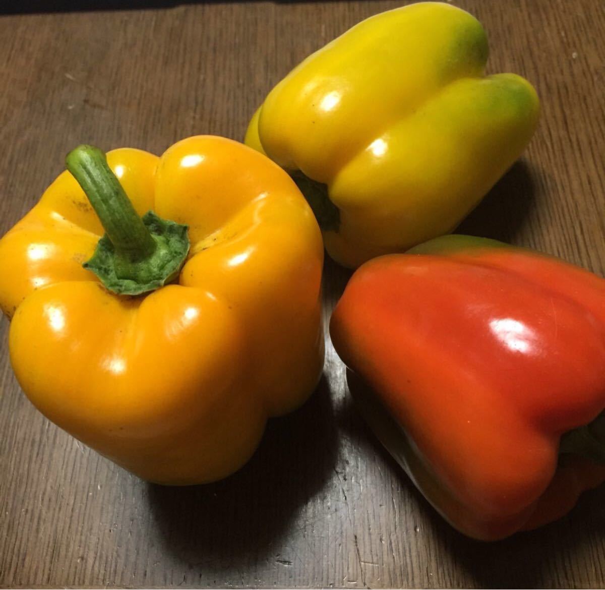 Paypayフリマ 33種類の野菜とハーブの種 多品種を少しずつ栽培なさりたい方に かぼちゃ ハラペーニョ パクチーファラン ゴーヤ パプリカ Paypayフリマ 33種類の野菜とハーブの種 多品種を少しずつ栽培なさりたい方に かぼちゃ ハラペーニョ パクチーファラン ゴーヤ パプリカ