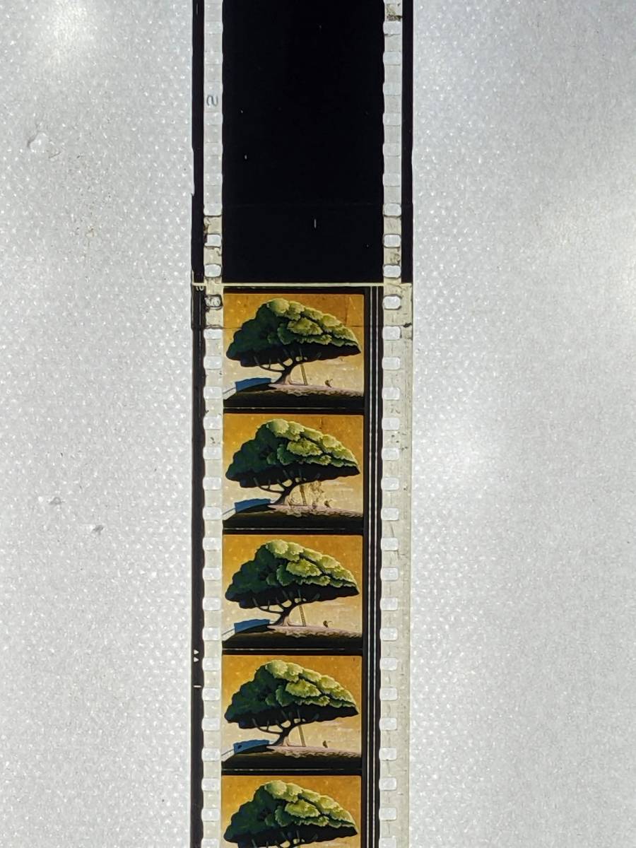 35ミリ「リスのコールタール騒動」(1950年) フィルム ディズニー 35ミリ「リスのコールタール騒動」(1950年) フィルム ディズニー