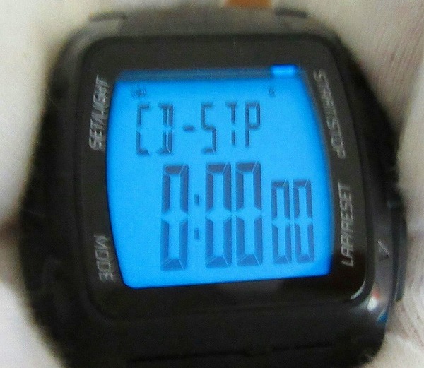 IW-4828R　adidas　腕時計　ADP6002　フェイスのみ 動作保証付_画像6