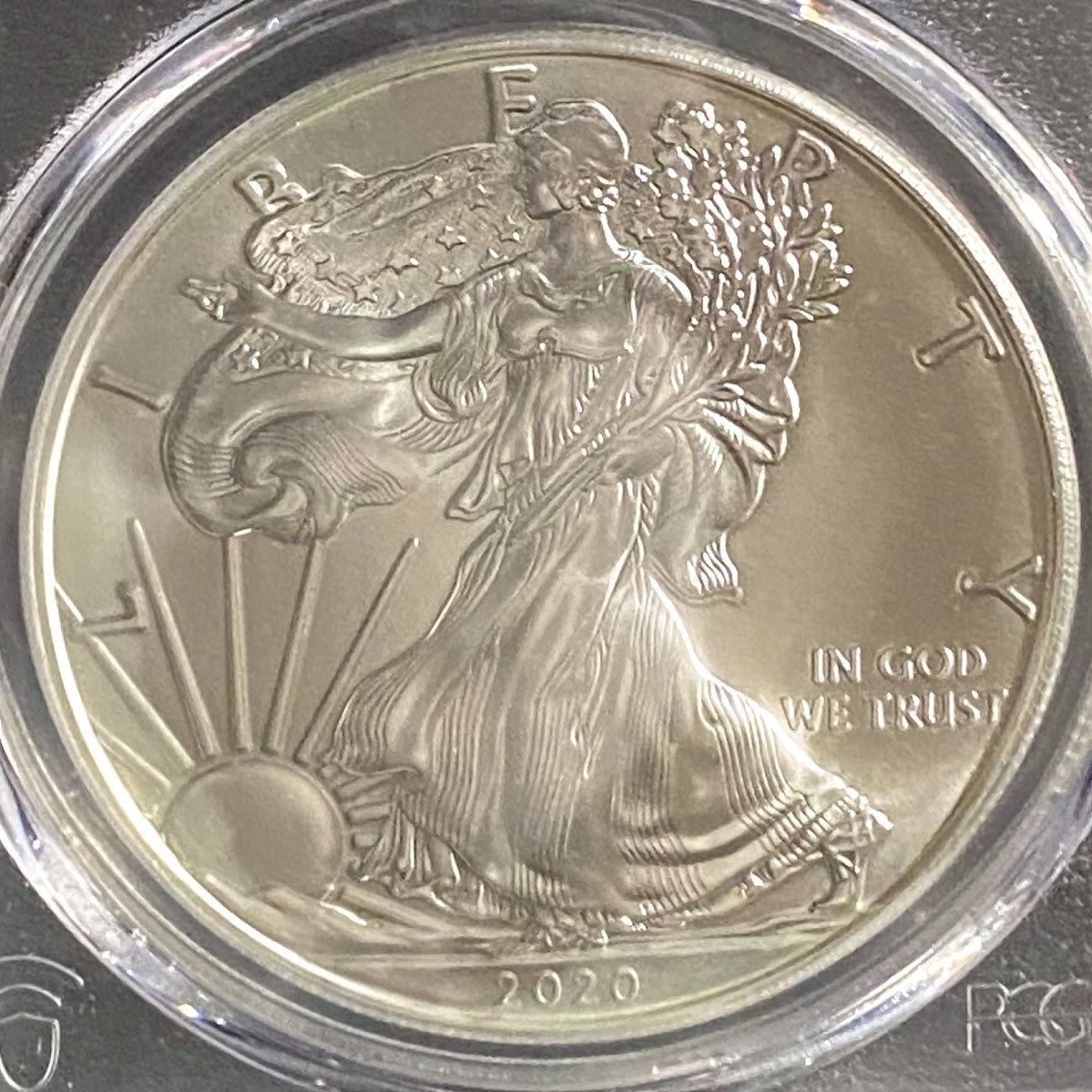最高鑑定 アメリカ 銀貨 コイン シルバー イーグル 銀貨 PCGS MS70 