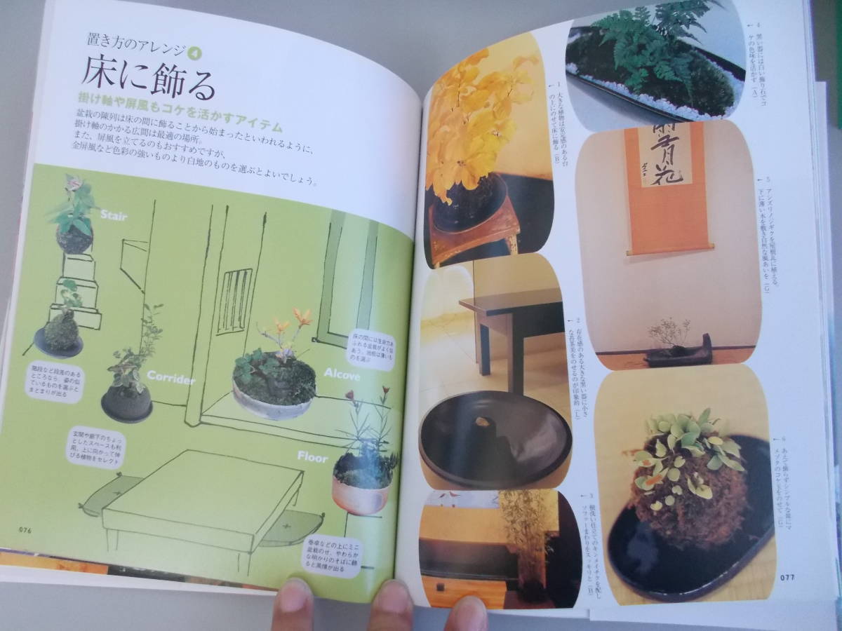  kokedama * mini bonsai sand forest .=.. new star publish company issue 2007 year 1 month 15 day issue secondhand goods 