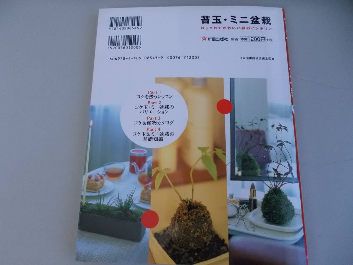  kokedama * mini bonsai sand forest .=.. new star publish company issue 2007 year 1 month 15 day issue secondhand goods 