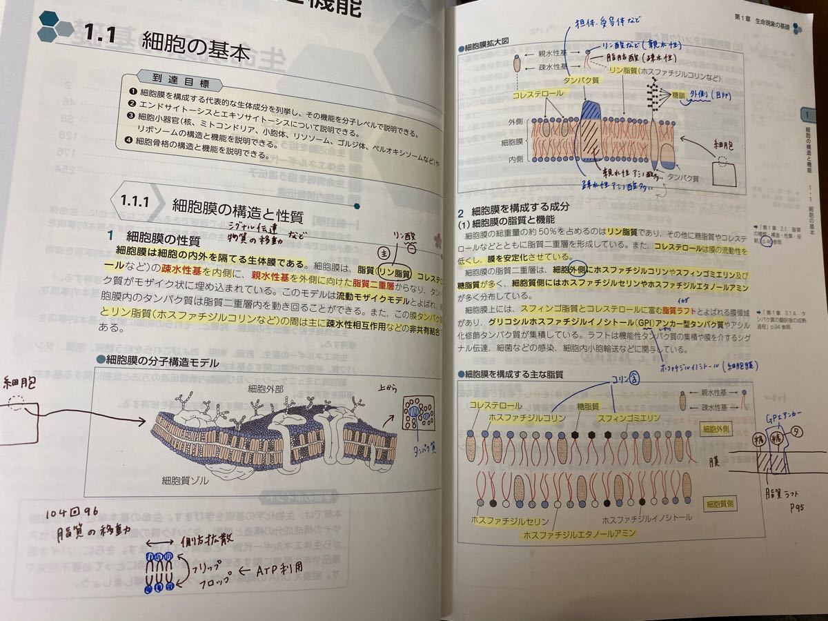 注目の福袋! 青本 青問 2023 最新 書き込み有 asakusa.sub.jp