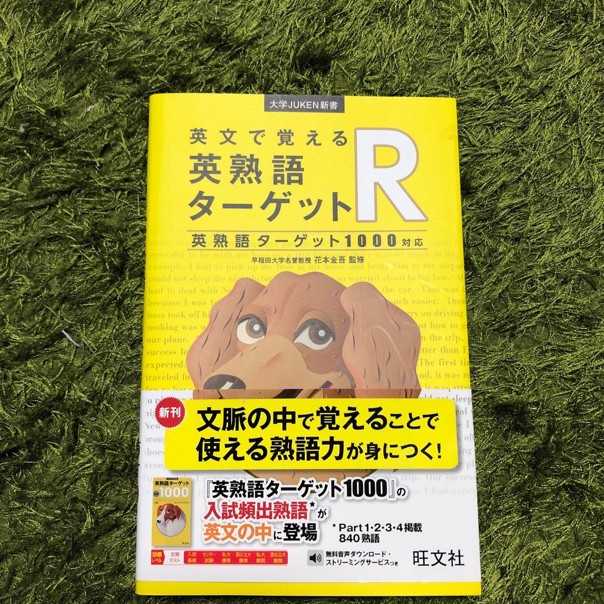 最大58%OFFクーポン 英文で覚える 英熟語ターゲットR〔英熟語