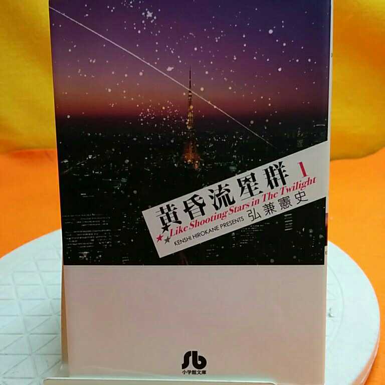 おまとめ歓迎！ねこまんま堂☆B03☆ 黄昏流星群 弘兼憲史 1_画像1