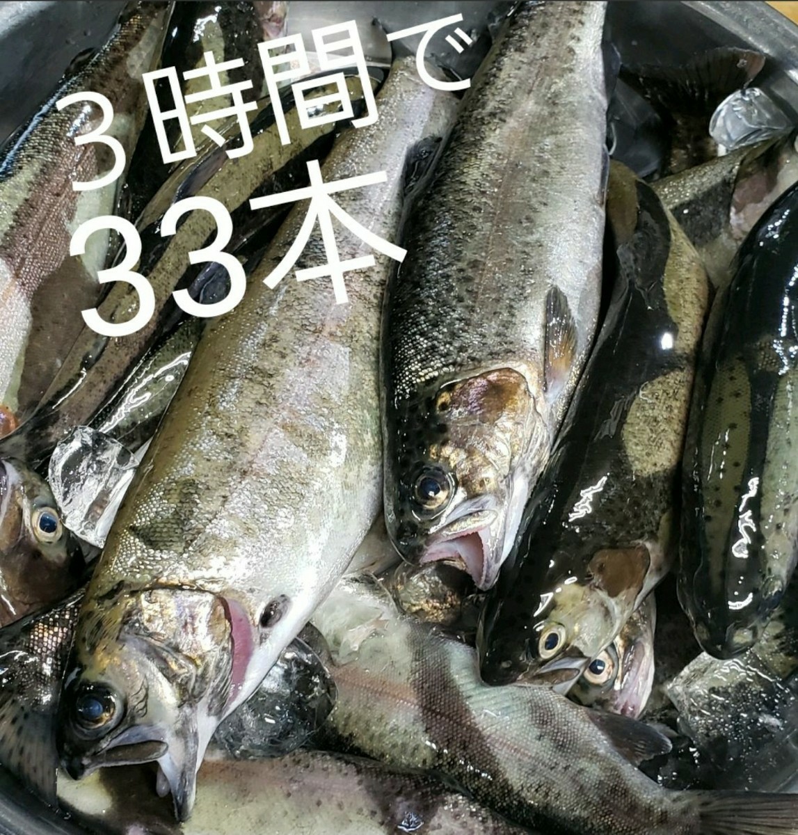 Paypayフリマ ケイムラ いくらルアー ルアー ワーム 海釣り 餌釣り 穴釣り アジ メバル カサゴ チヌ 真鯛 サビキ 釣り ニジマス トラウト Paypayフリマ ケイムラ いくらルアー ルアー ワーム 海釣り 餌釣り 穴釣り アジ メバル カサゴ チヌ 真鯛 サビキ 釣り ニジマス トラウト