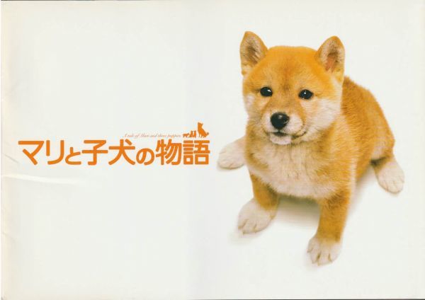 大判パンフ■2007年【マリと子犬の物語】[ B ランク ] プレス用/猪股隆一 桑原眞二 船越英一郎 松本明子 広田亮平 佐々木麻緒 徳井優_画像1