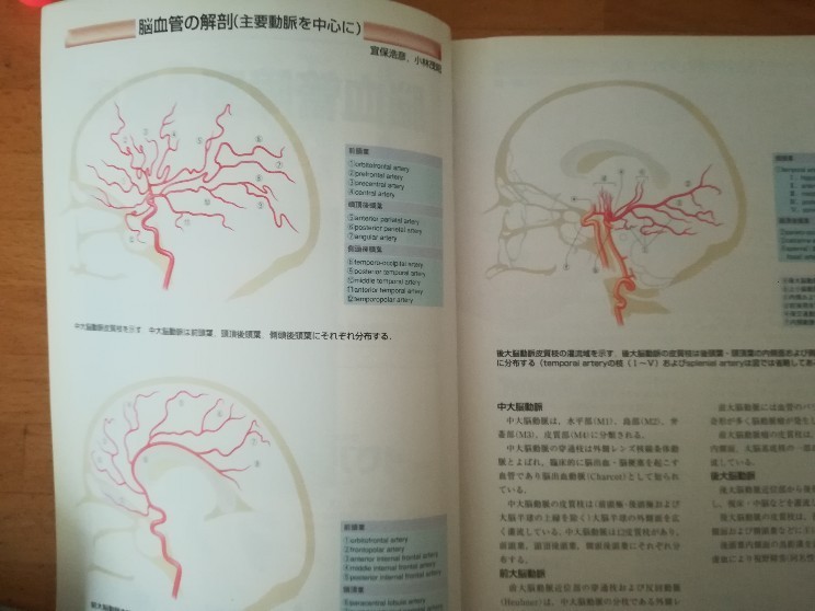 日本医師会雑誌 　脳血管障害の臨床　生涯教育シリーズ５６　（ネコポス利用）_画像3