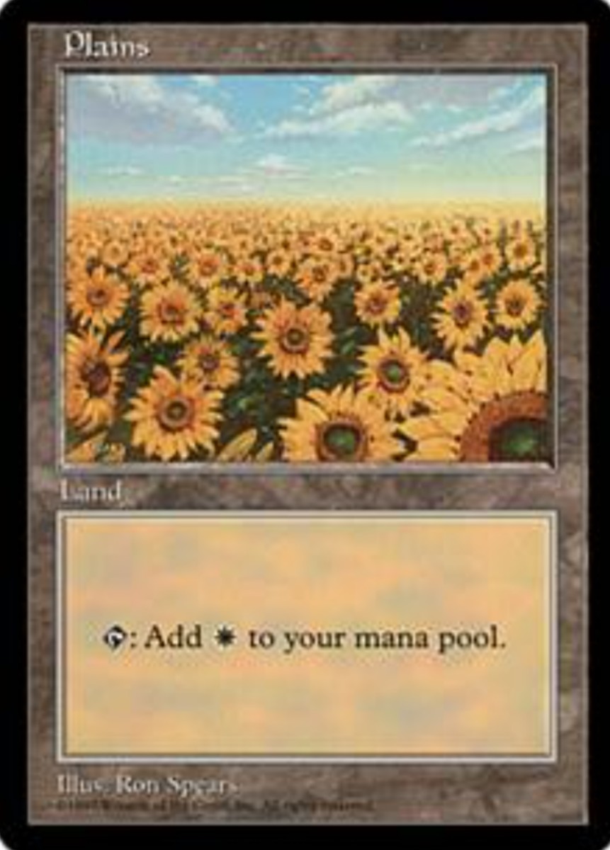 感謝価格 MTG APACランド 平地ひまわり 2枚セット fawe.org