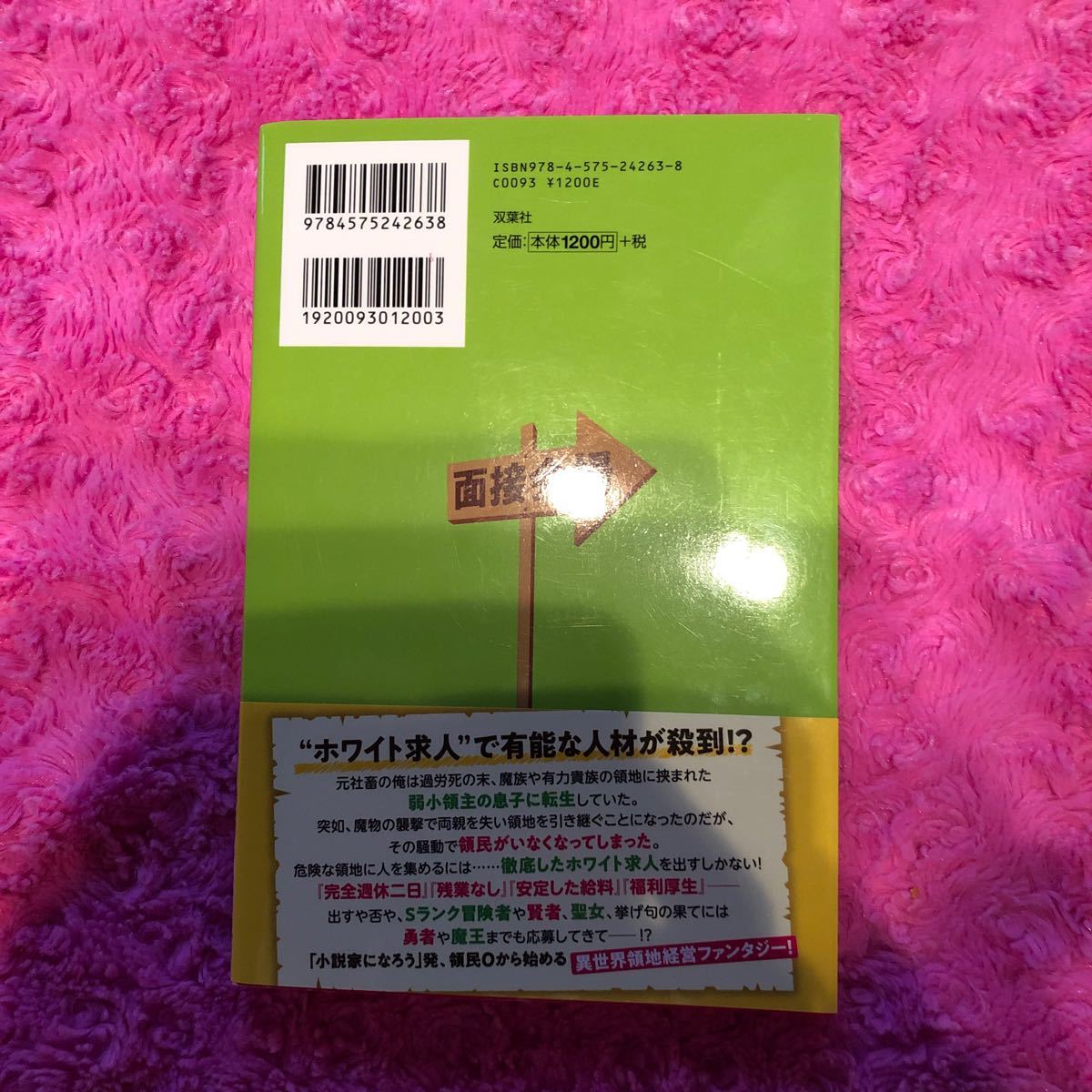 転生領主の優良開拓 前世の記憶を生かしてホワイトに努めたら、有能な人材が集まりすぎました/空野進