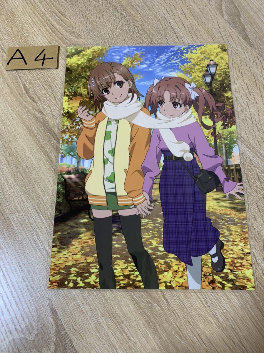 とある科学の超電磁砲 レールガン 御坂美琴 白井黒子 落ち葉 とある科学の超電磁砲 レールガン 御坂美琴 白井黒子 落ち葉