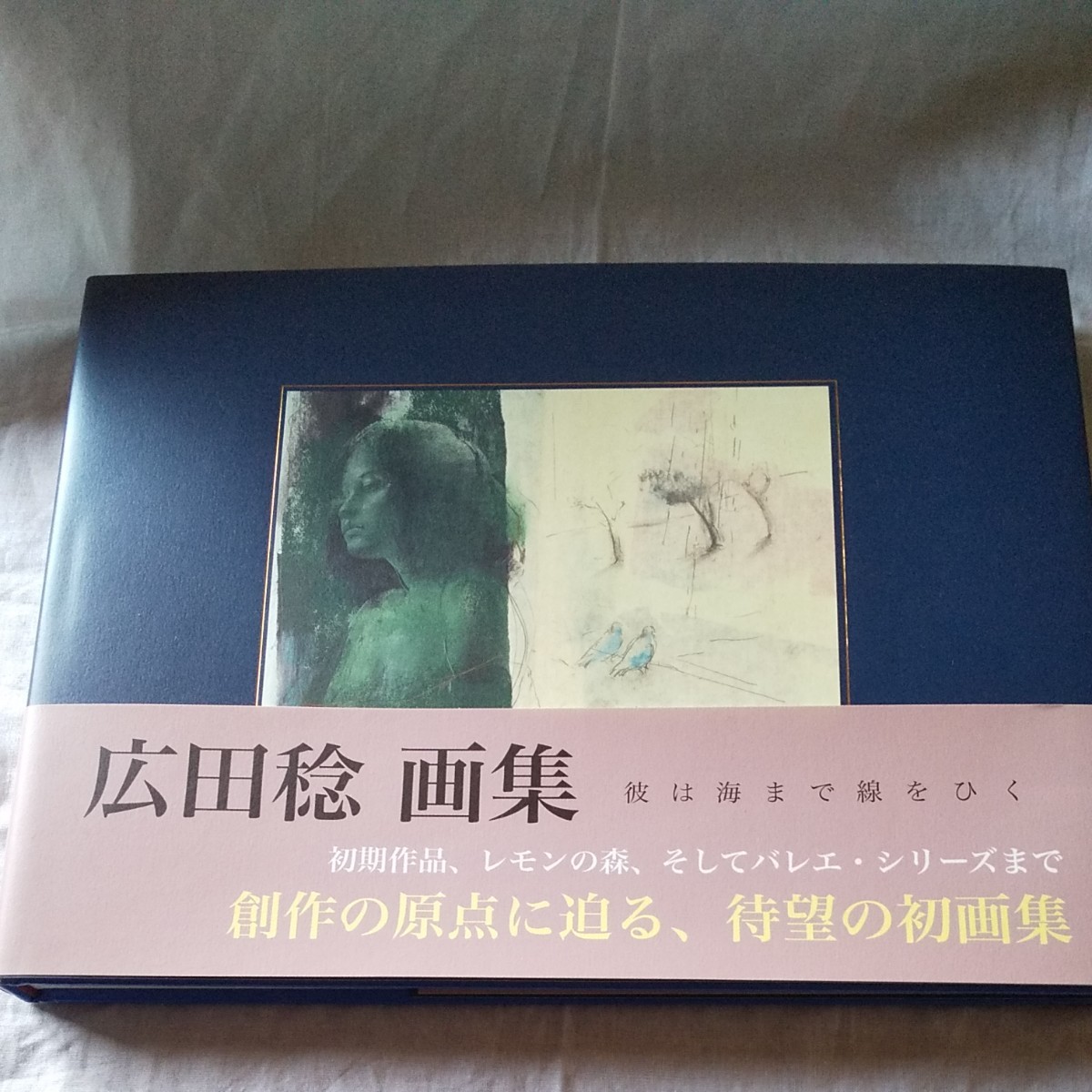 『広田稔画集  彼は海まで線をひく』