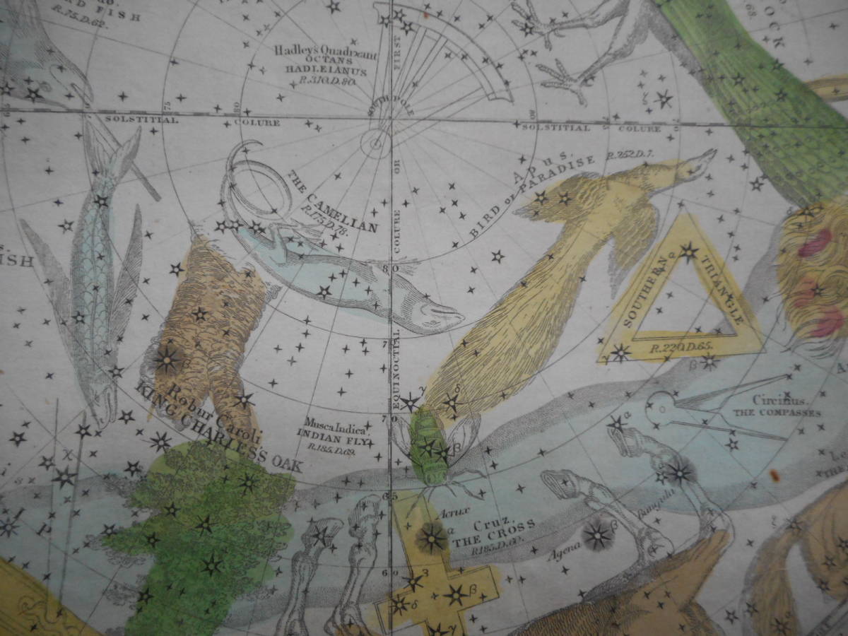 即決　アンティーク、天文、天体、星座早見盤、手彩色銅版画、星図、1835年『バリット星図南天』Star map, Planisphere, Celestial atlas_画像8