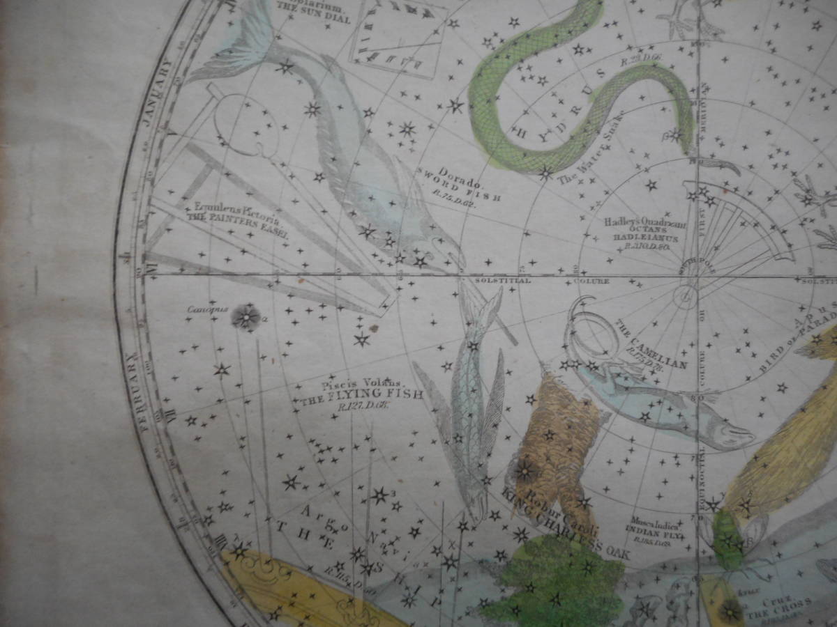 即決　アンティーク、天文、天体、星座早見盤、手彩色銅版画、星図、1835年『バリット星図南天』Star map, Planisphere,  Celestial atlas