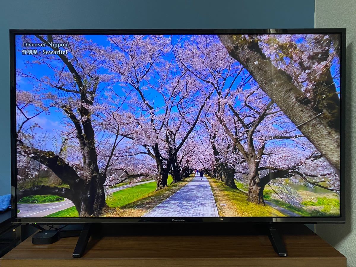 Panasonic VIERA FX600 TH-43FX600