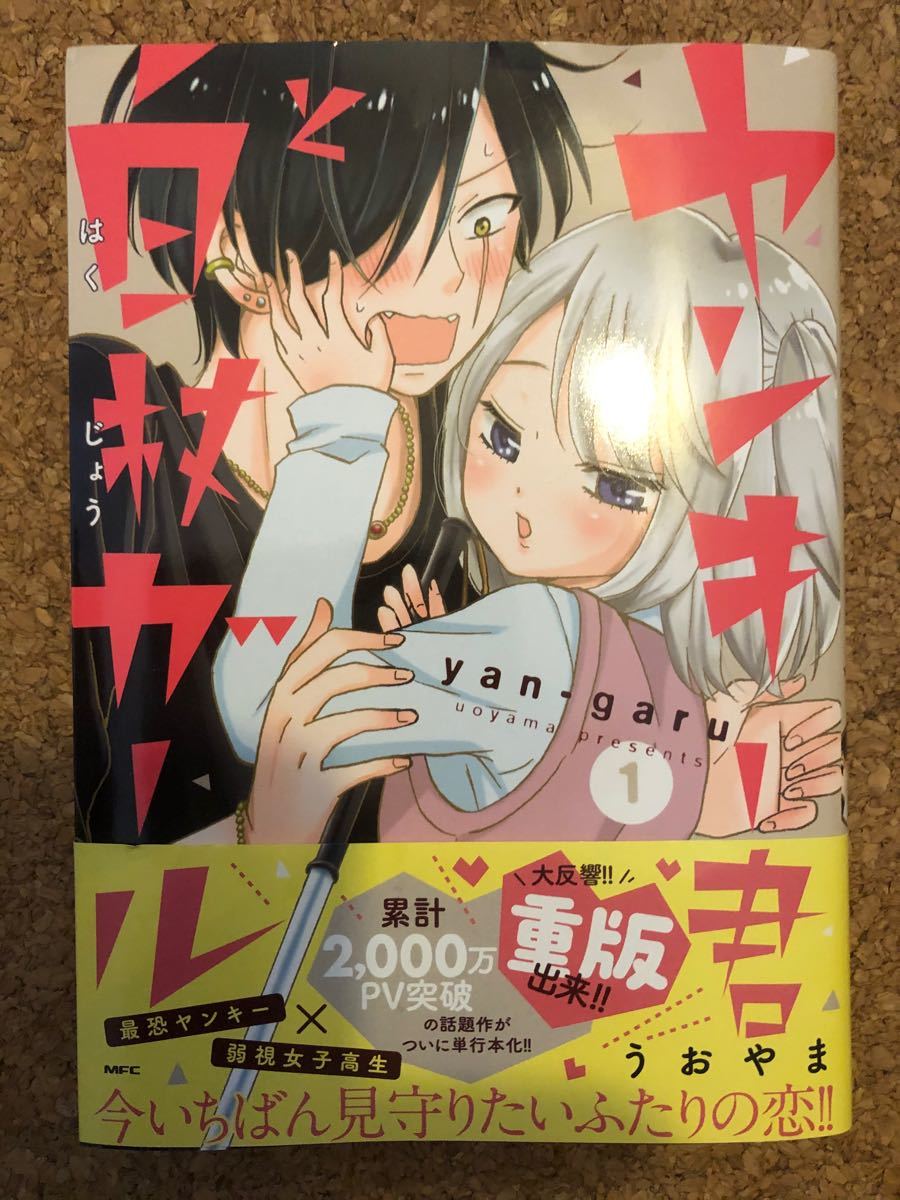 ヤンキー君と白杖ガール 1/うおやま