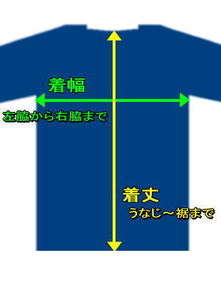 新品 即決 ＮＣＡＡ オハイオ州立大 バックアイズＴシャツ Ｌサイズ 送料込_画像3