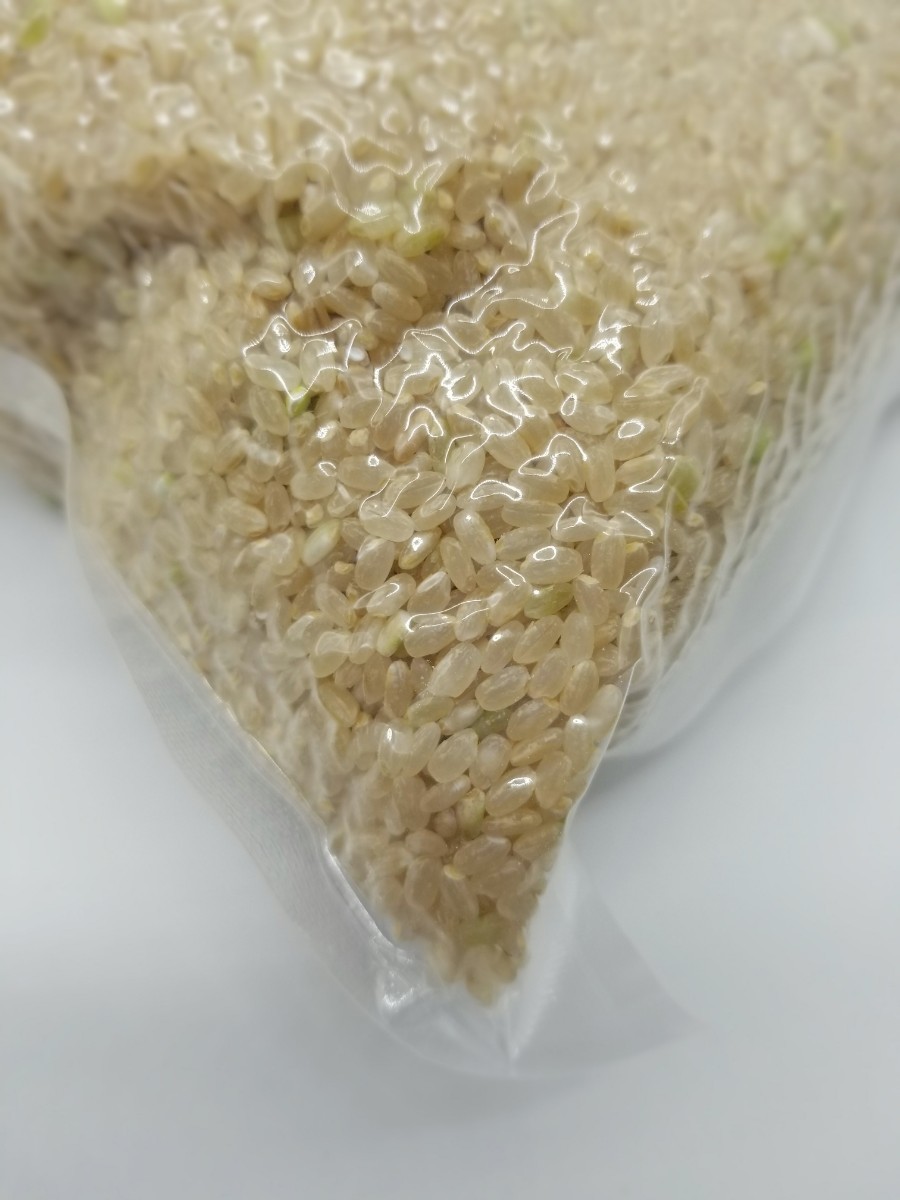 熊本県産　令和4年新米100%　発芽玄米　6kg ヒノヒカリ　れんげ