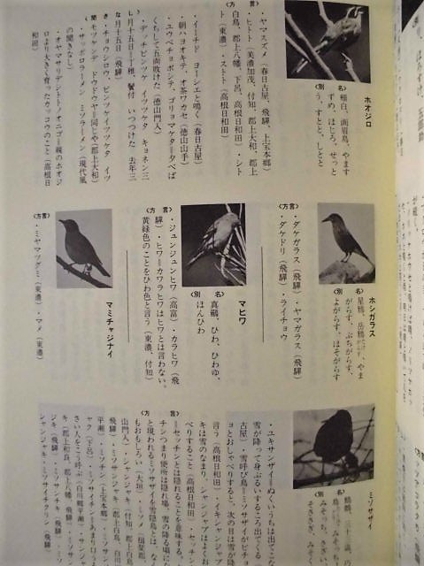 ［2点］美濃 飛騨 人と鳥：20年の歩み、美濃 飛騨 人と鳥 II：鳥の方言と民話　（財）日本野鳥の会岐阜支部 1987（元版/岐阜県鳥類目録_画像3