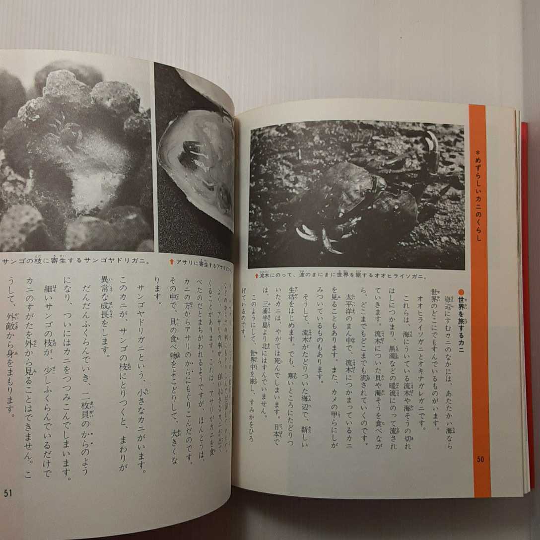 zaa-m1b♪ カニのくらし　カラー版（科学のアルバム）(1983年) 小池 康之 (著), 桜井 淳史　 (あかね書房）