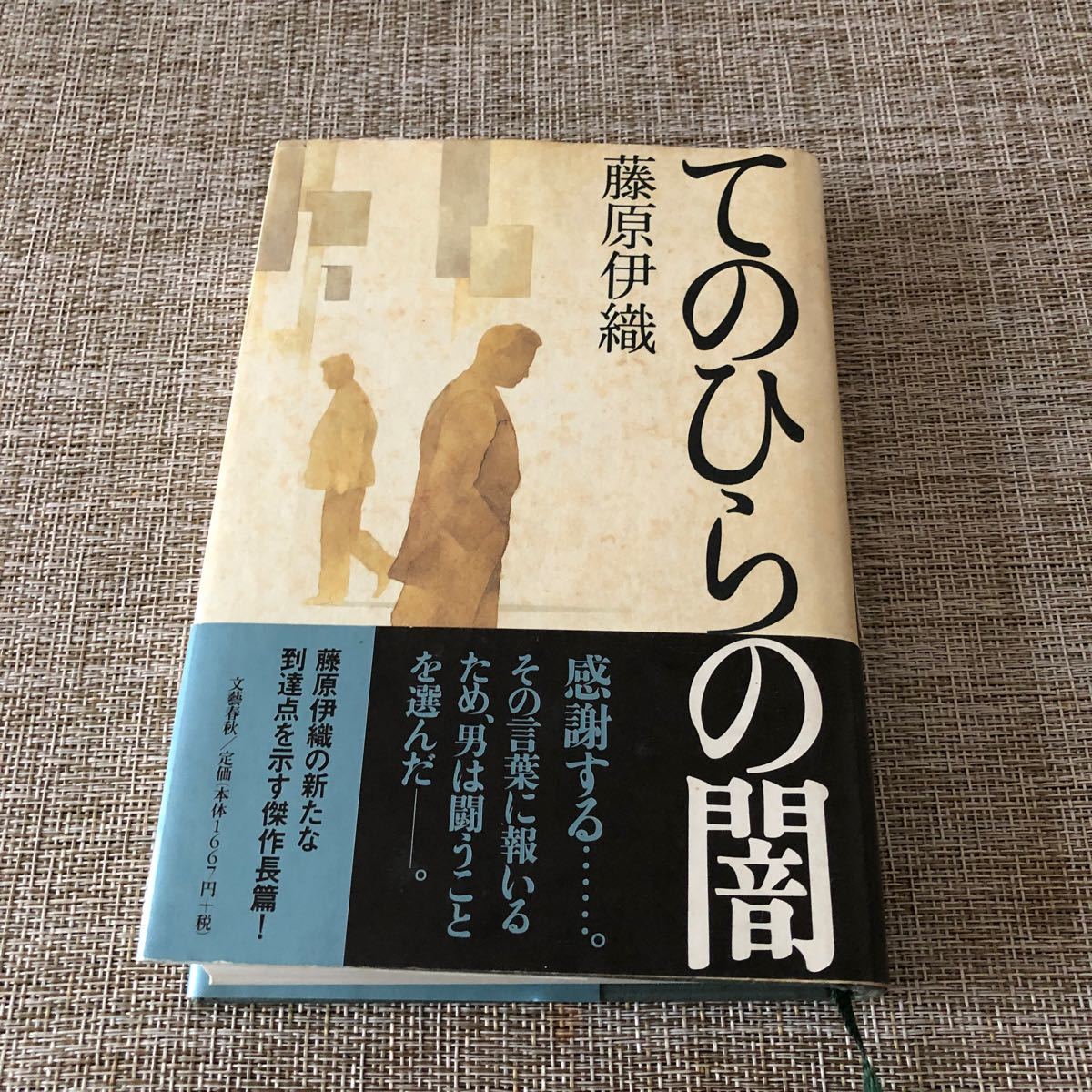 てのひらの闇 藤原伊織