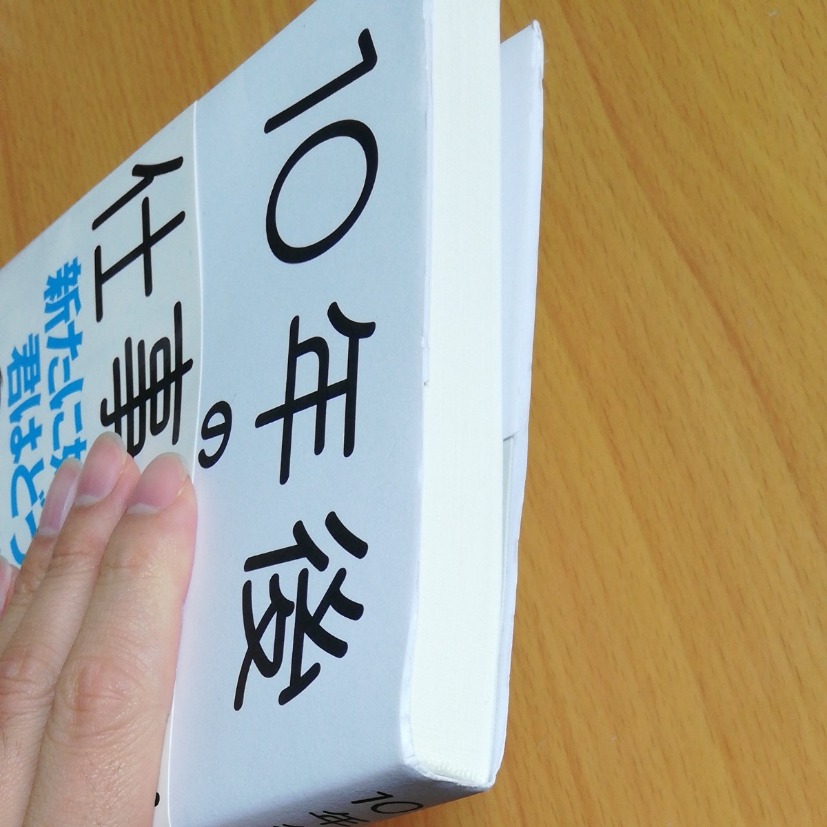 10年後の仕事図鑑 堀江貴文 落合陽一