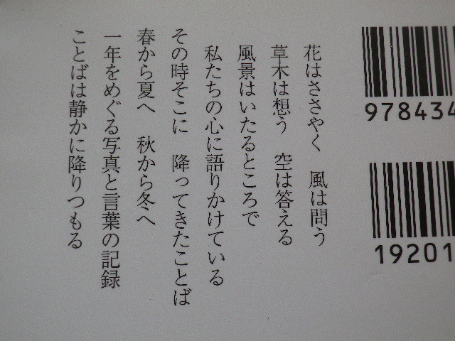 まっすぐ前　そして遠くにあるもの　銀色夏生　文庫本●送料185円●同梱大歓迎_画像3