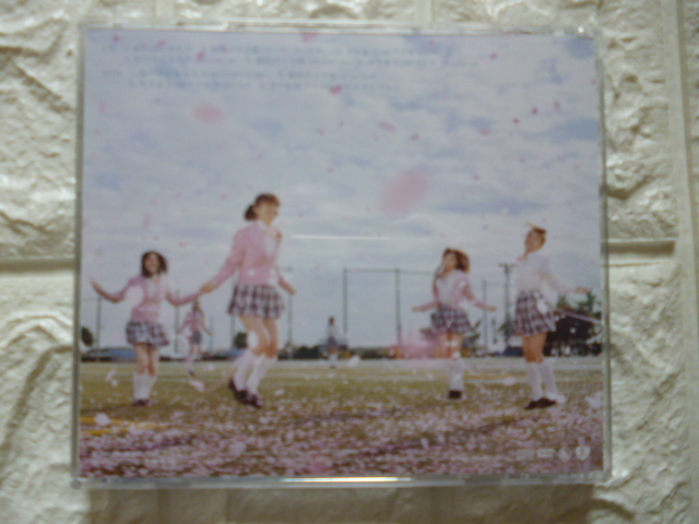 貴重ＣＤ！　ＡＫＢ４８/桜の木になろう（ＣＤ＋ＤＶＤ）_画像2