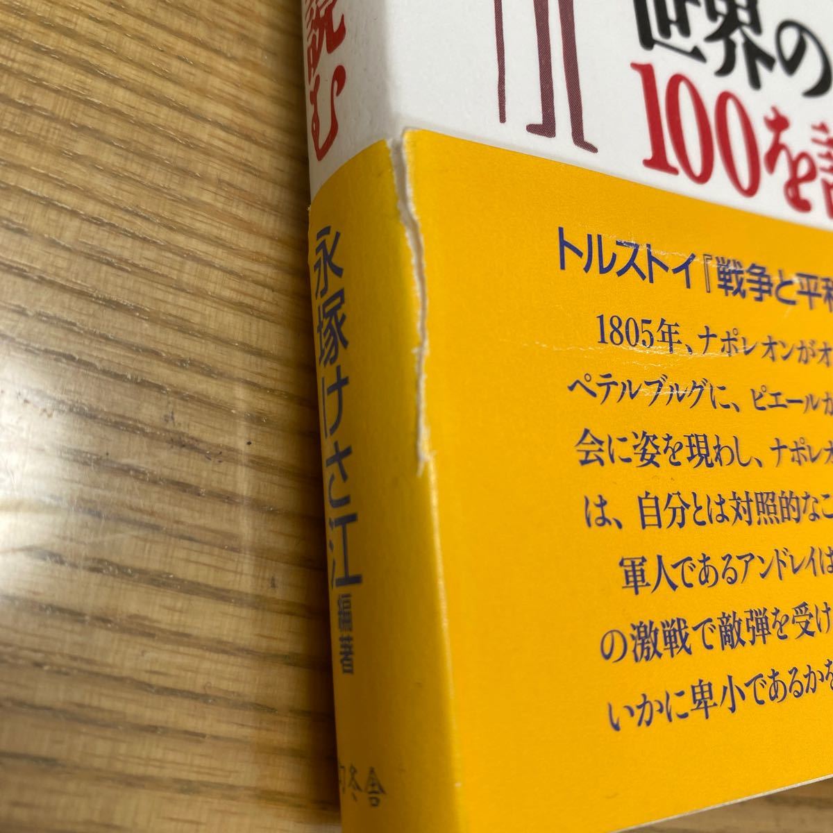 あらすじダイジェスト 世界の名作１００を読む／永塚けさ江 (著者)