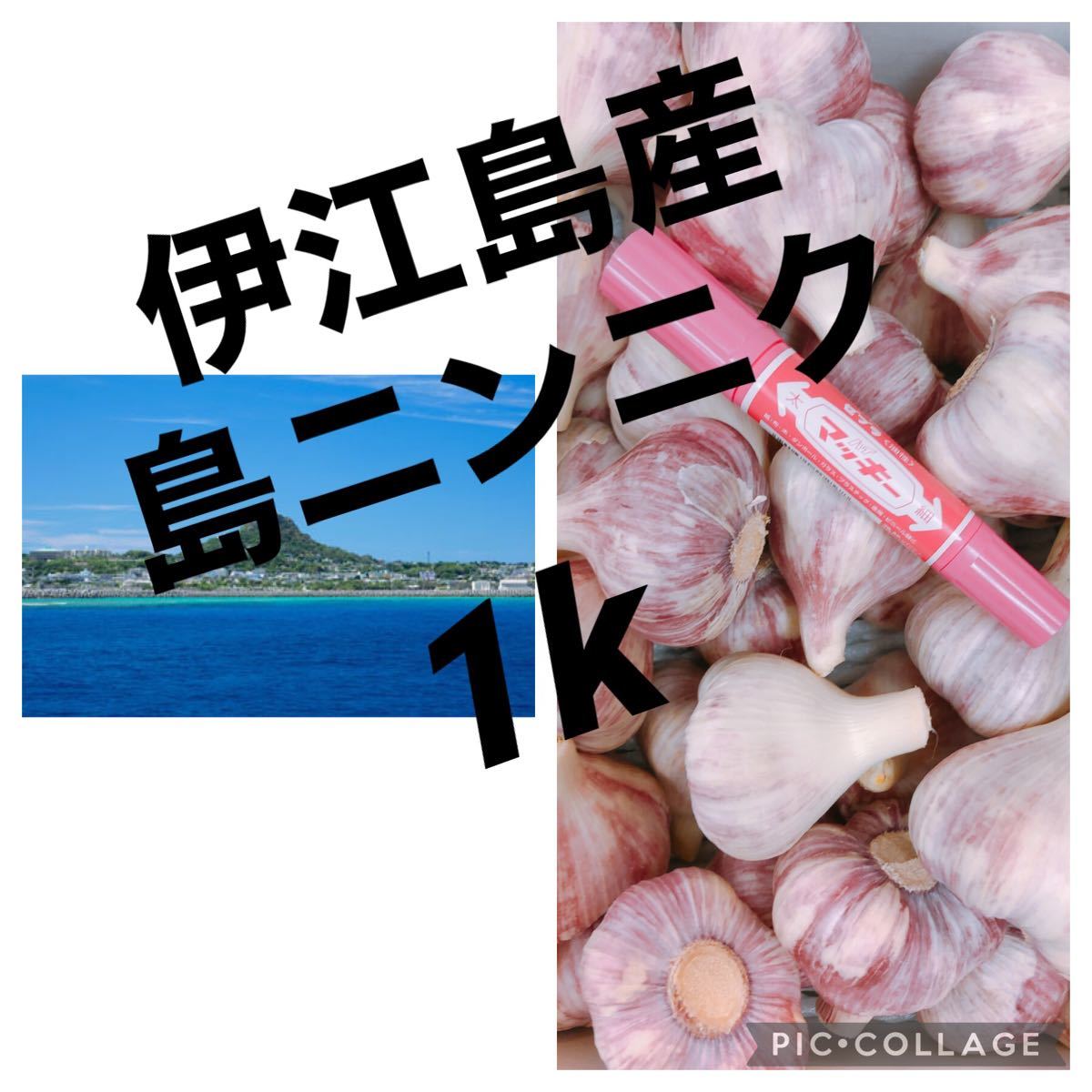 専用 沖縄県伊江島産 無農薬 島にんにく 2キロ 徹さ