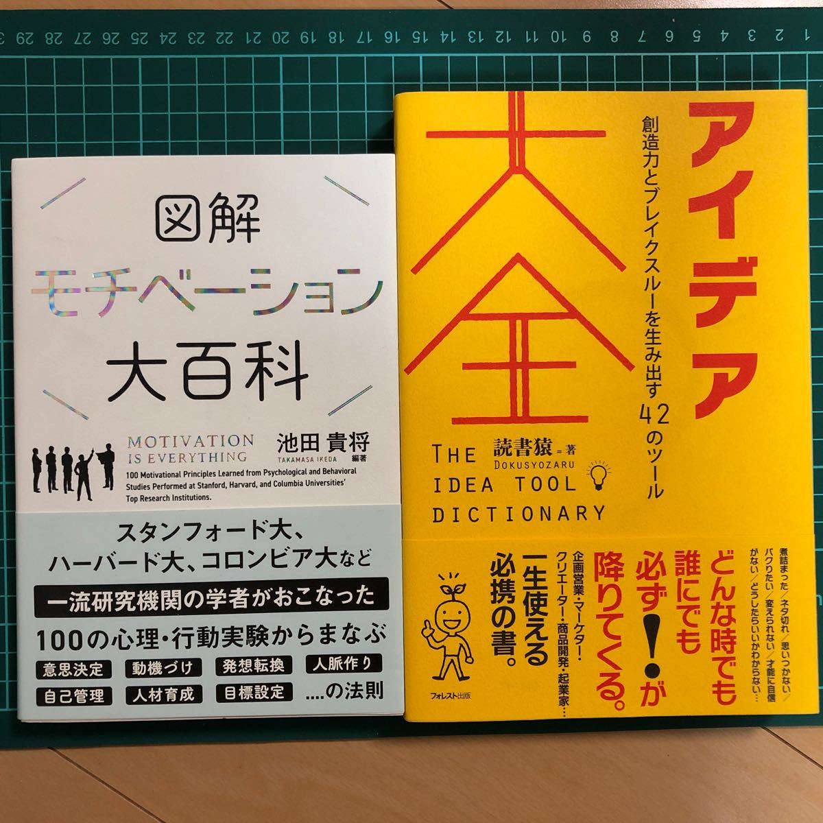 アイデア大全　図解モチベーション大百科　2冊セット