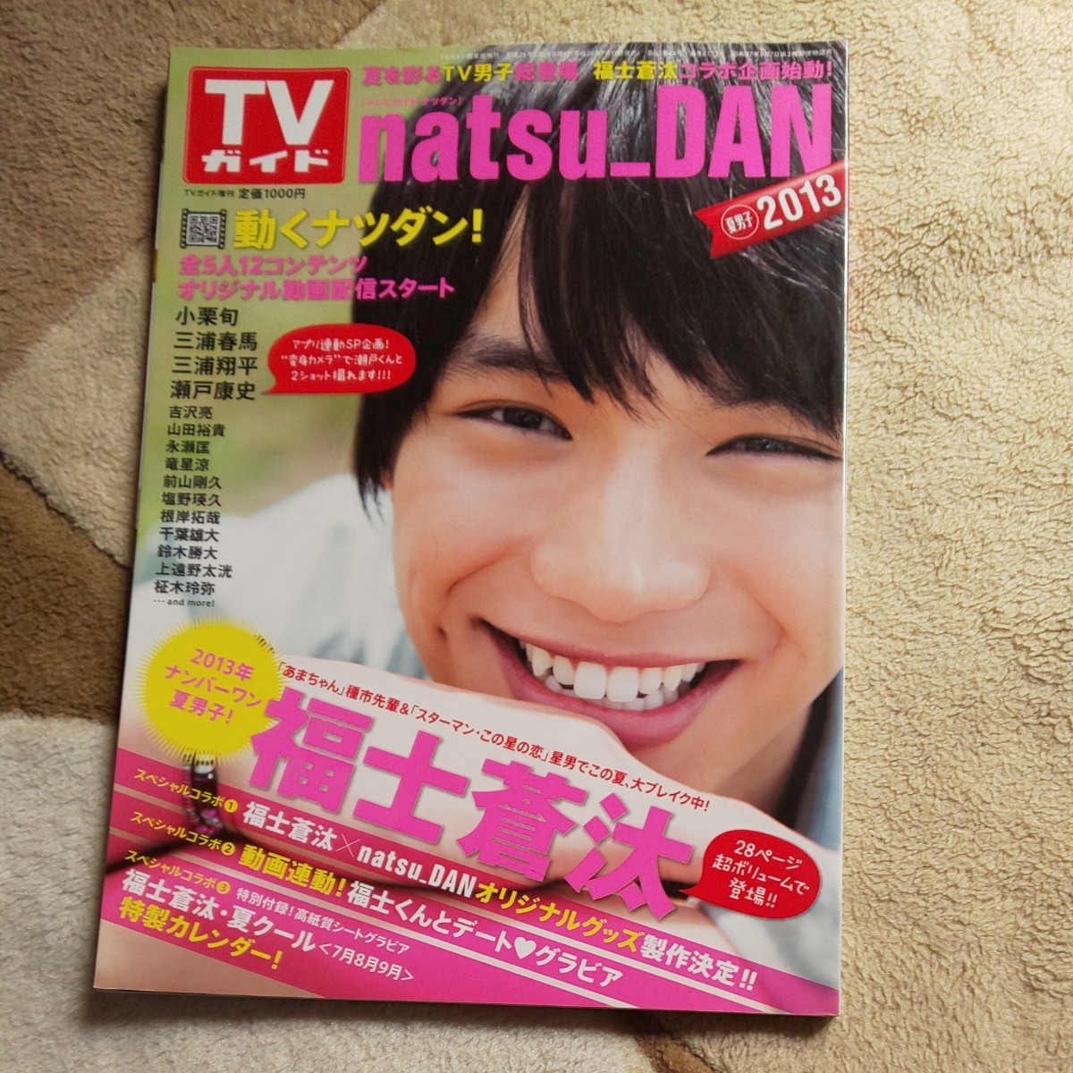 TVガイド　natsu―dan2013
