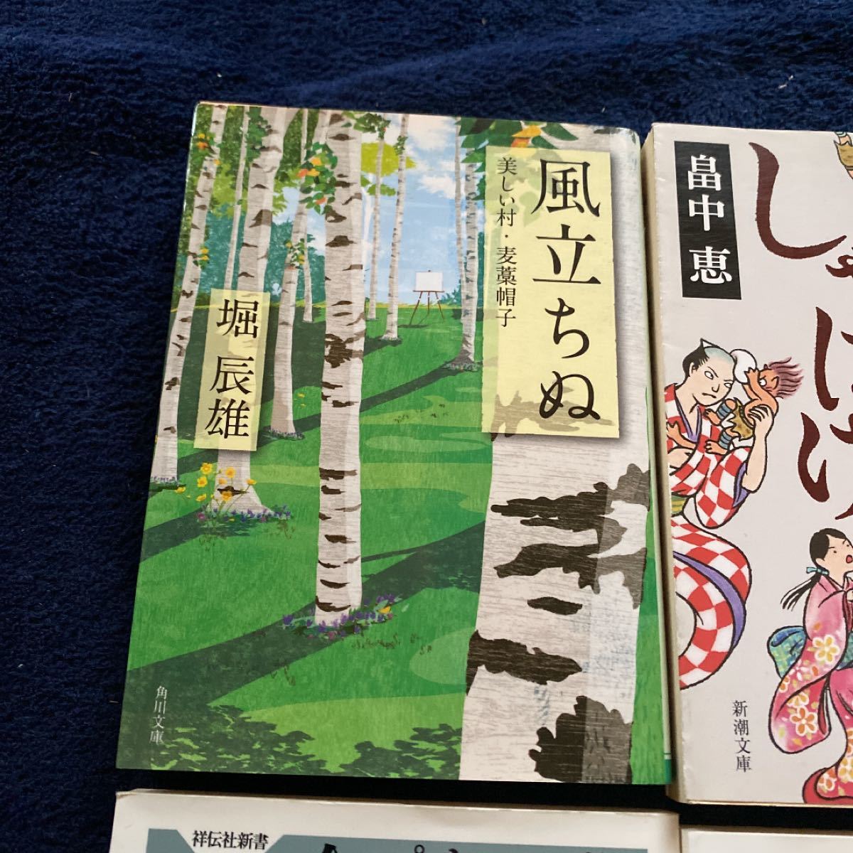 櫻子さんの足下には死体が埋まっている ほか6冊 文庫本