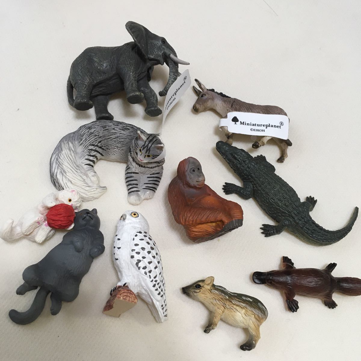 ○日本正規品○ Miniatureplanet 動物 フィギュア 小400円 大600 - フィギュア - www.thjodfelagid.is ○日本正規品○ Miniatureplanet 動物 フィギュア 小400円 大600 - フィギュア - www.thjodfelagid.is