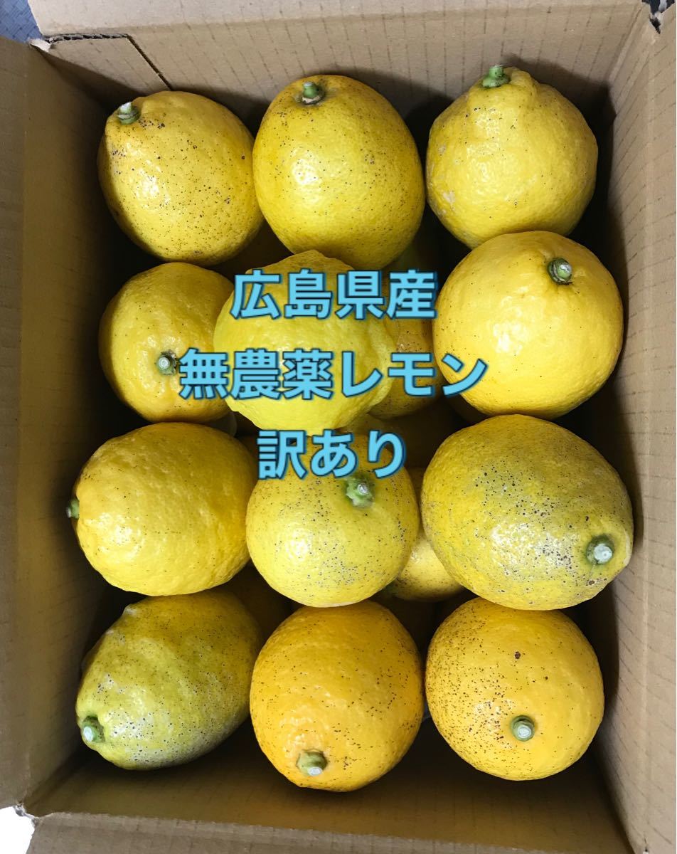 Paypayフリマ 広島県産無農薬レモン訳あり3キロ Paypayフリマ 広島県産無農薬レモン訳あり3キロ