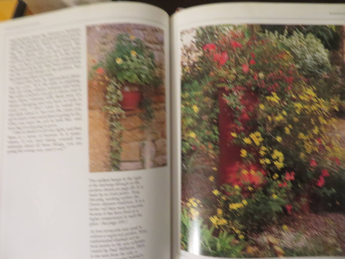 洋書　The New Terracotta Gardener :Creative Idea from Leading Gardeners　　auther:JIM KEELING_植栽例