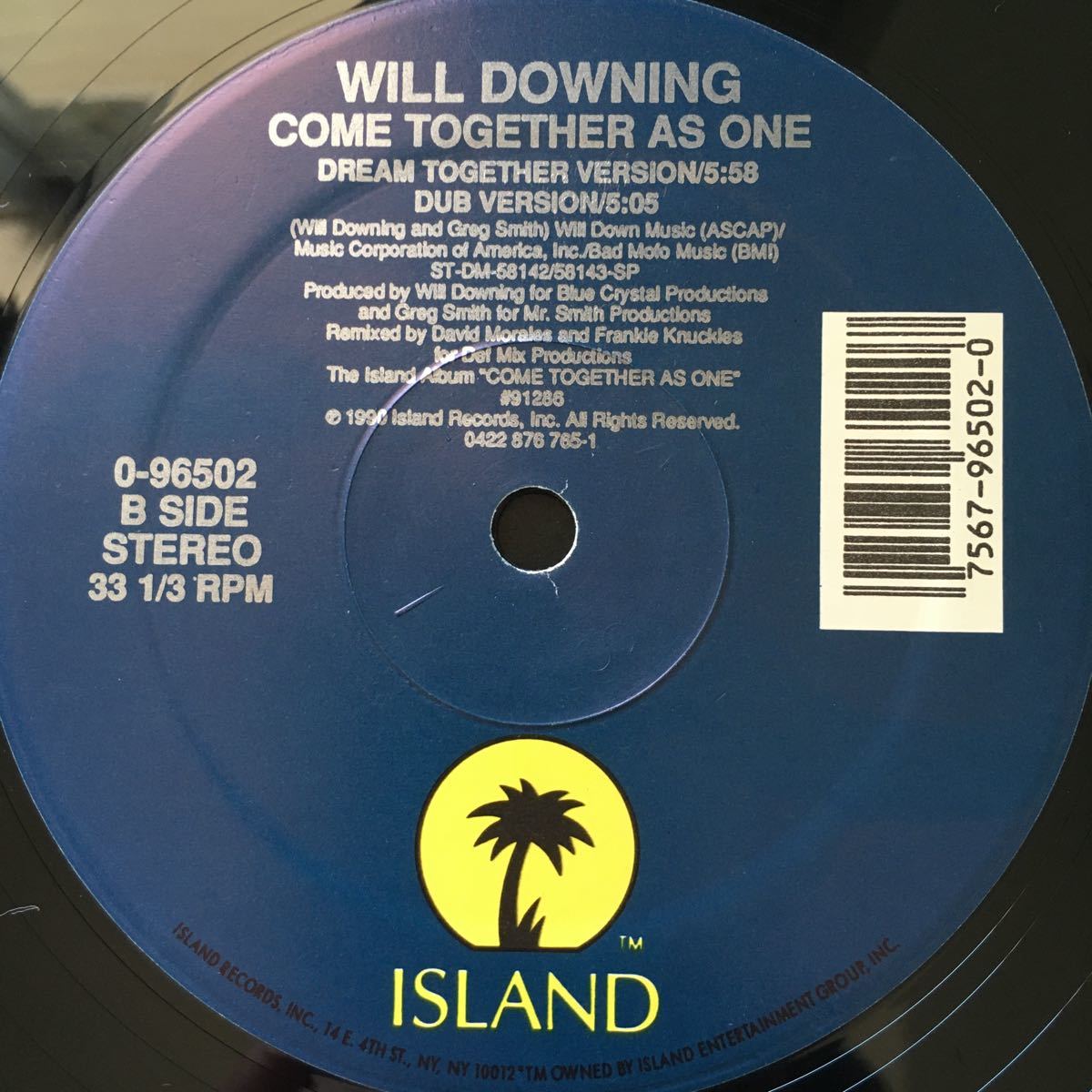 12inch WILL DOWNING / COME TOGETHER AS ONE_画像6