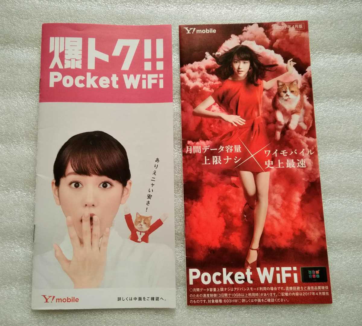 桐谷美玲 Ymobile ポケットWiFi パンフレット2冊 ※パンフレットのみ_画像1