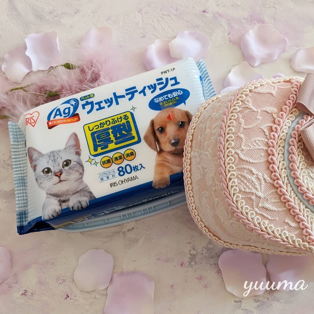 Paypayフリマ ペット用ウェットティッシュケースデコ グリーン ペット おしりふきケース Paypayフリマ ペット用ウェットティッシュケースデコ グリーン ペット おしりふきケース