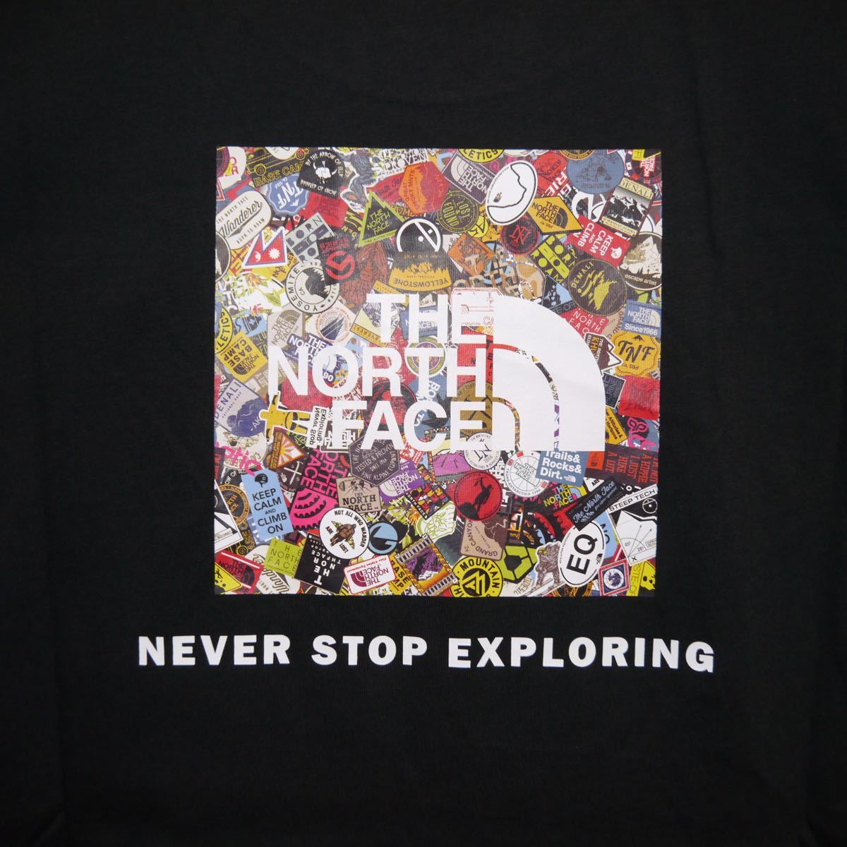 日本XL相当　US  L【海外限定】ノースフェイス　ボックスロゴTシャツ THE NORTH FACE 半袖Tシャツ Tee